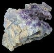 Purple Amethyst Cluster - Alacam Mine, Turkey #55368-1